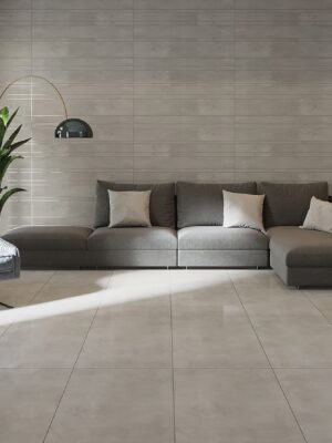 24x48 Natron Gray Polished