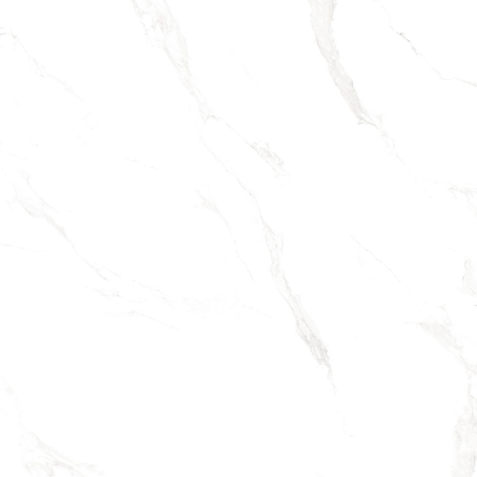 48x48 white carrra tile with sublet veining on bright white background